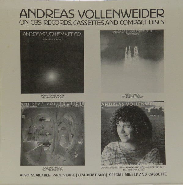 Andreas Vollenweider - Down To The Moon (LP, Album) - Funky Moose Records 2538682839-JP005 Used Records