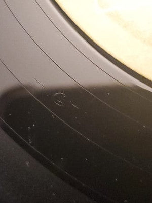 Sylvia (7) - Just Sylvia (LP, Album) - Funky Moose Records 2450316875-LOT005 Used Records