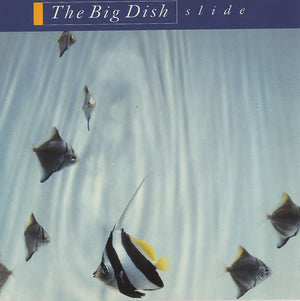The Big Dish : Slide (12