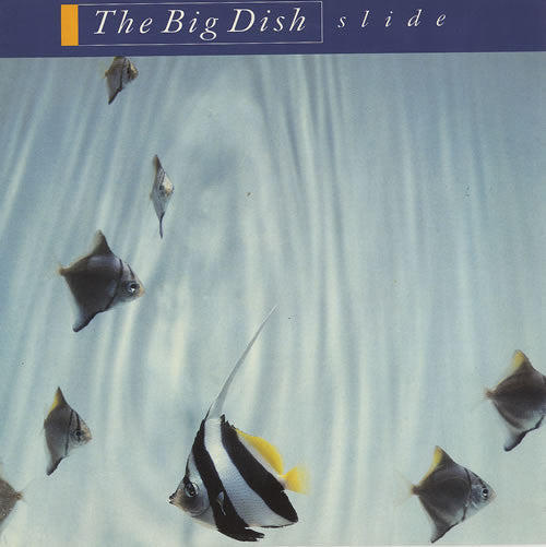The Big Dish : Slide (12")