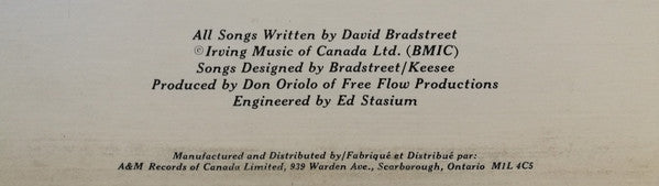 David Bradstreet : David Bradstreet (LP, Album)