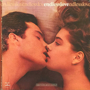 Various : Endless Love (LP, Comp, Gat)