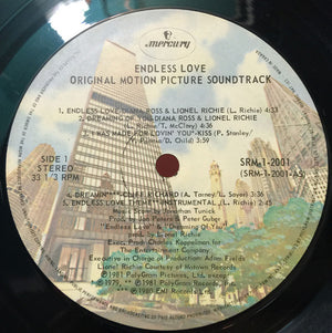 Various : Endless Love (LP, Comp, Gat)