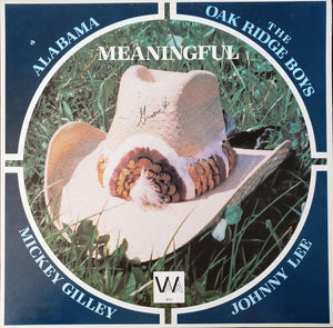 Various : Meaningful (LP, Comp)