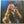 Lynn Anderson : Top Of The World (LP, Album)