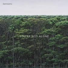 Semisonic - You're Not Alone (45 RPM, EP)Vinyl