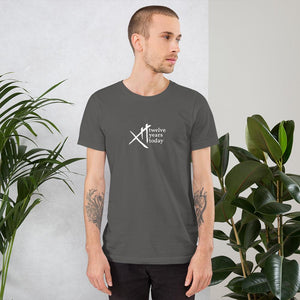 Twelve Years Today - Premium Short-Sleeve Unisex T-ShirtAsphaltS