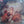 W.A. Mozart*, Michel Debost, Moskauer Kammerorchester*, Rudolf Barshai - Flötenkonzerte Nr.1 & Nr.2 (LP, Album) - Funky Moose Records 2214362521-JH5 Used Records